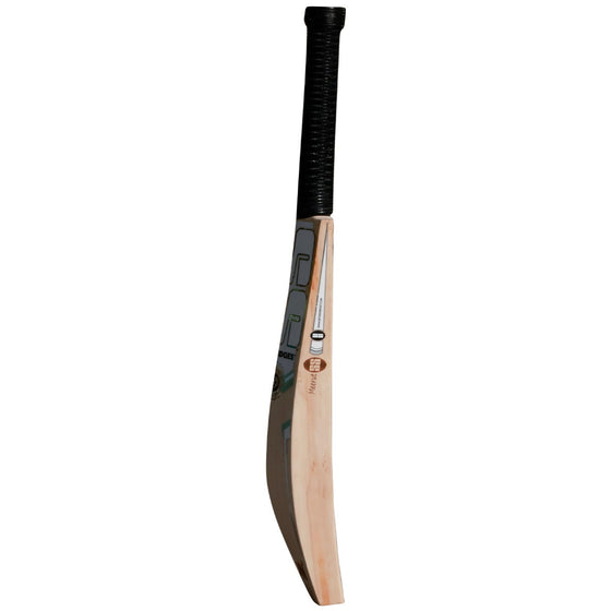 SS Pro 1.0 English Willow Cricket bat