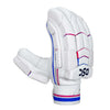 DSC Intense Batting Gloves