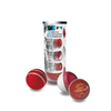 GM Cricket Ball - BS55