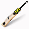 DSC Condor Flite English Willow Cricket bat