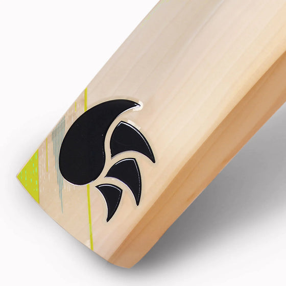 DSC Condor Flite English Willow Cricket bat