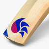 DSC Intense Passion English Willow Cricket Bat