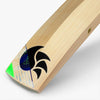 DSC Split 500 English Willow Cricket bat